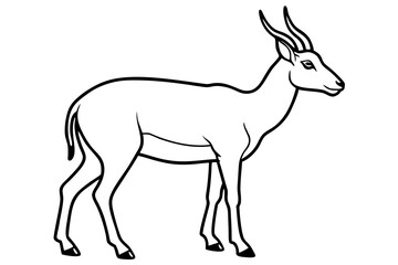 Wildlife Saiga Antelope Vector