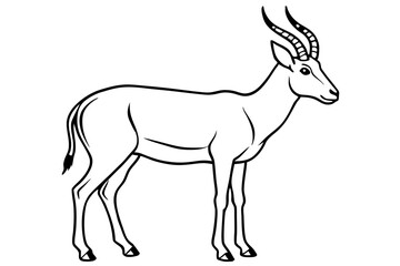 Wildlife Saiga Antelope Vector