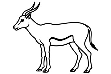 Fototapeta premium Wildlife Saiga Antelope Vector