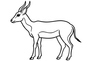 Wildlife Saiga Antelope Vector
