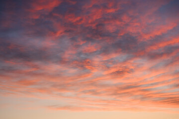 Pink sunset sky on twilight. Evening sky with orange sunset clouds. Nature sky background. Bright sunrise clouds, dusk sky