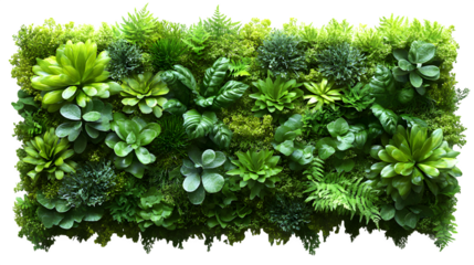 Vertical grass coverage for wall decor, HD texture, isolated on white background