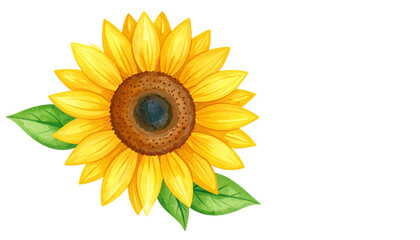 Fototapeta premium illustration de tournesol