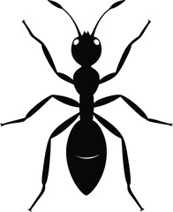ant silhouette on whrite background