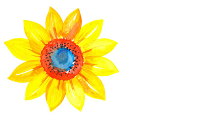 illustration de tournesol