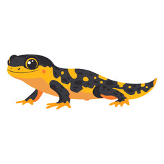 Illustration of Fire Salamander salamander amphibian wildlife vector
