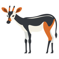 Obraz premium Vector illustration of Okapi antelope wildlife animal vector