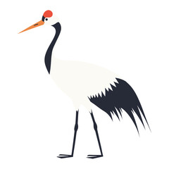 Obraz premium Illustration of Siberian Crane design crane bird vector