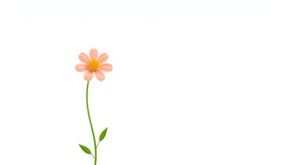 Single, pale pink flower on stem