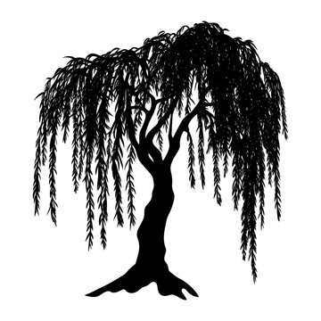 black weeping willow tree silhouette clip art preview