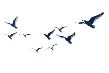 Fototapeta premium Flock of Birds Flying Against a Blue Sky Background in Formation