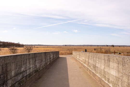 Long pedestrian pathway through natural fields in Copenhagen, with concrete borders and vanishing perspective, ideal for conceptual use in movement or solitude themes.