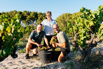 Farmers Family Gathered With Buckets of Freshly Harvested Organic Grapes in Vineyard Setting