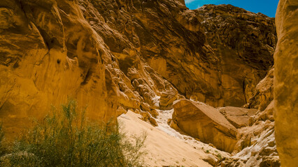 high rocky mountains and green bush in the canyon in Egypt Dahab South Sinai