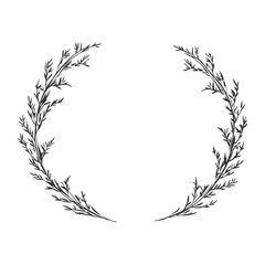 A minimal line frame botanical element sketch vector