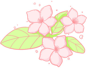 A Trio of Delicate Pink Blossoms with Vibrant Green Leaves