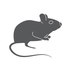 mouse, rat, hole, wool, whiskers, seraya, animal,