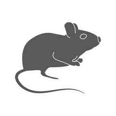 mouse, rat, hole, wool, whiskers, seraya, animal,