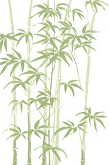 Obraz premium Bamboo Forest Vector Illustration
