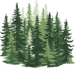 Fototapeta premium Forest of Evergreen Trees Vector Illustration