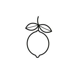 Lemon Line Art Vector Simple Outline Citrus Icon for Logos and Organic Brands