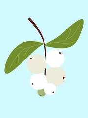 Snowberry Winter Greenery Illustration