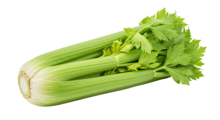 Isolated Fresh Green Celery Stalk