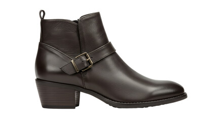 Isolated Elegant Brown Leather Ankle Boot