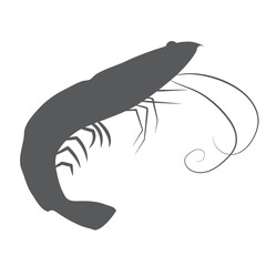 shrimp, oyster, sea, food, restaurant, aquarium, legs, antennae, eyes, diet