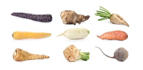 Different root vegetables isolated on white, set
