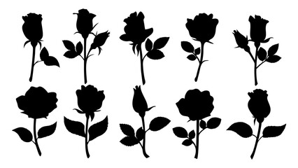 set of rose with leaves silhouette vector on white background