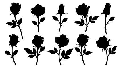 set of rose with leaves silhouette vector on white background