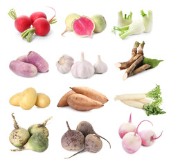 Different root vegetables isolated on white, set