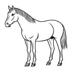 Fototapeta premium Horse drawing art sketch vector