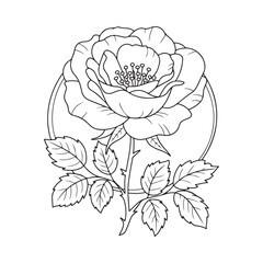 Elegant Rose Line Art with Detailed Petals and Leaves