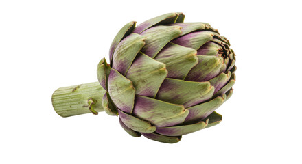 Fototapeta premium Isolated Fresh Green Artichoke Flower Bud