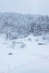 大雪が降った氷ノ山の風景 鳥取県 若桜町