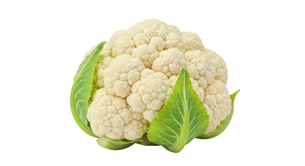 Isolated Fresh White Cauliflower with Green Leaves Vegetable