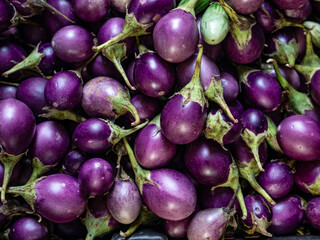 Fresh Organic Round Purple Eggplant. Anthocyanin vegetable.