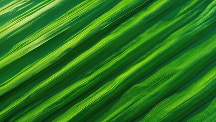 Detailed view of tropical banana leaf surface showcasing vibrant green and fresh appearance