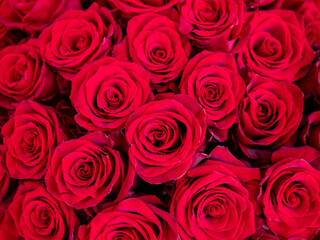 Extreme close-up of fresh red roses showing detailed petals and rich texture, tightly arranged in a bouquet.