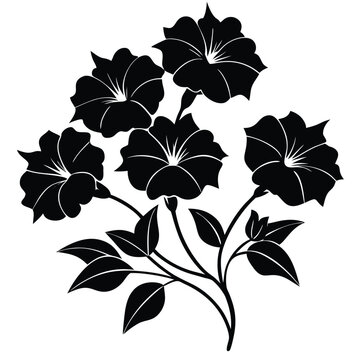 black petunia flowers on white background clip art preview