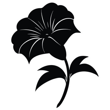 black petunia flower silhouette on white clip art preview