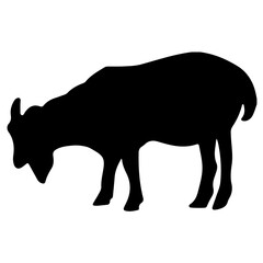 Vector illustration of goat silhouette