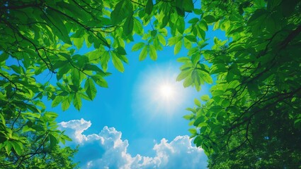 Bright blue sky with white clouds and vibrant green foliage