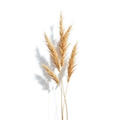 Vibrant Green Grasses