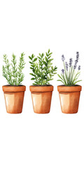 Obraz premium Fresh Herb Garden with Potted Plants in Rustic Pots, Including Rosemary, Thyme, and Lavender, Perfect for Home Decor and Culinary Use