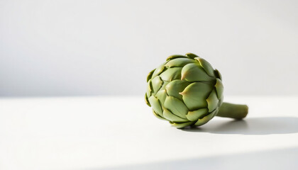 Fototapeta premium Single Green Artichoke Leaf on White