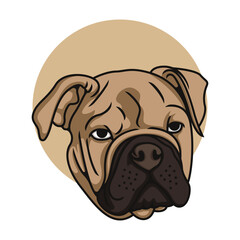 Pit bull Flat Face Vector Illustration