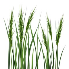 Naklejka premium Vibrant Green Grasses